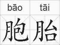 胞胎的拼音
