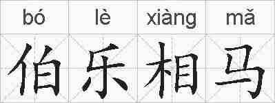伯乐相马的拼音