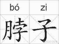 脖子的拼音
