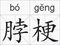 脖梗的拼音