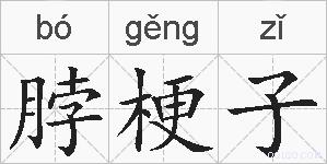 脖梗子的拼音