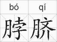 脖脐的拼音
