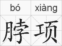 脖项的拼音