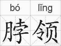 脖领的拼音