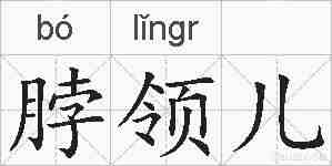 脖领儿的拼音