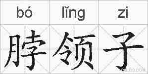 脖领子的拼音