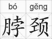 脖颈的拼音
