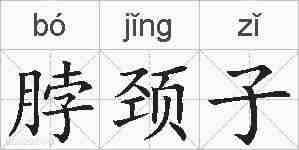 脖颈子的拼音