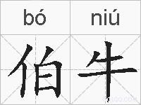 伯牛的拼音