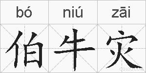 伯牛灾的拼音