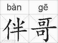 伴哥的拼音
