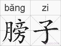 膀子的拼音
