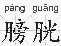 膀胱的拼音