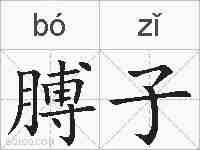 膊子的拼音