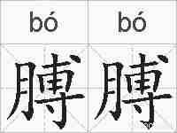 膊膊的拼音