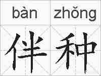 伴种的拼音