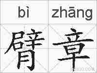 臂章的拼音
