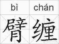 臂缠的拼音