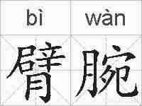 臂腕的拼音