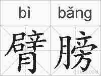 臂膀的拼音