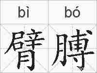 臂膊的拼音