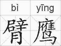 臂鹰的拼音