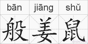 般姜鼠的拼音