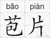 苞片的拼音