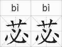 苾苾的拼音