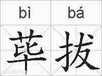 荜拔的拼音