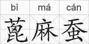 蓖麻蚕的拼音