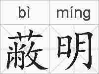 蔽明的拼音