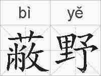 蔽野的拼音