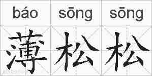 薄松松的拼音