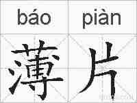 薄片的拼音