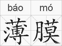 薄膜的拼音