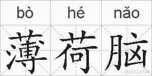 薄荷脑的拼音