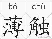 薄触的拼音