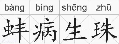 蚌病生珠的拼音