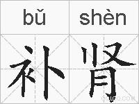 补肾的拼音