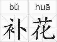 补花的拼音