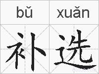 补选的拼音