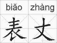表丈的拼音