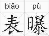 表曝的拼音