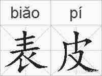 表皮的拼音