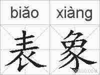 表象的拼音