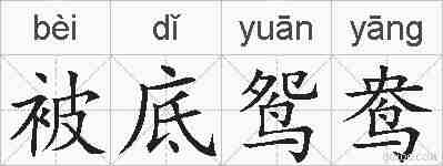 被底鸳鸯的拼音