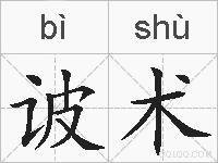 诐术的拼音