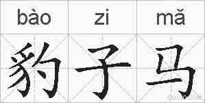 豹子马的拼音