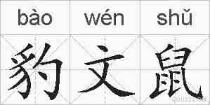 豹文鼠的拼音